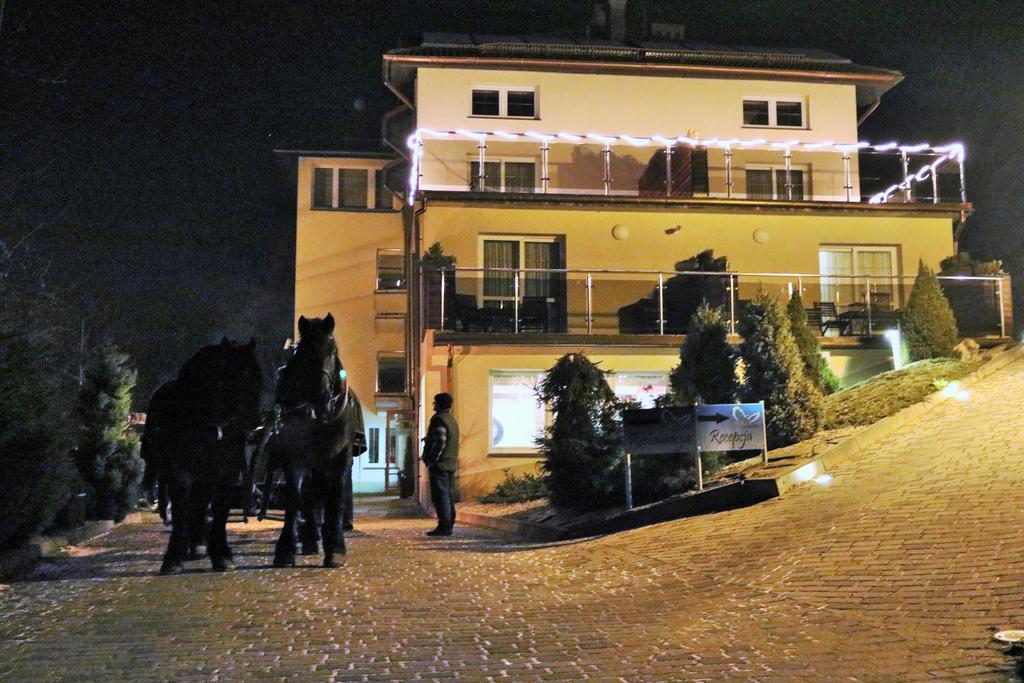 Willa Pod Skrzydlami Hotell Międzybrodzie Bialskie Eksteriør bilde